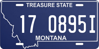 MT license plate 170895I