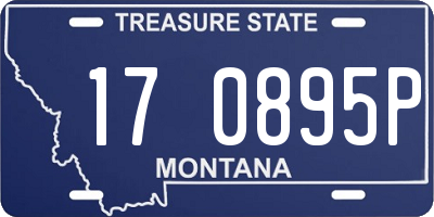 MT license plate 170895P