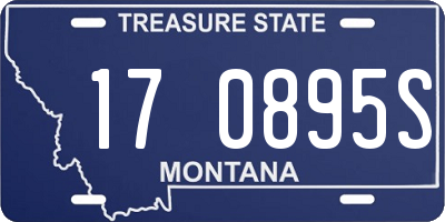MT license plate 170895S