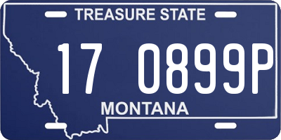 MT license plate 170899P