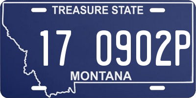 MT license plate 170902P