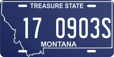 MT license plate 170903S
