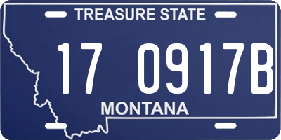 MT license plate 170917B