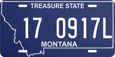 MT license plate 170917L