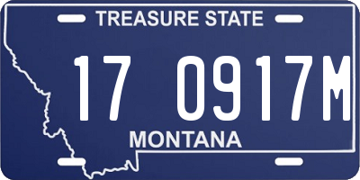 MT license plate 170917M