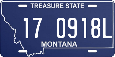 MT license plate 170918L