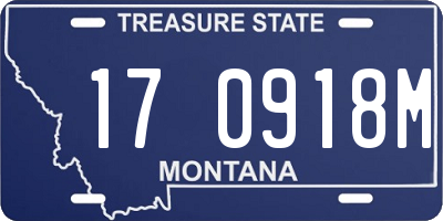 MT license plate 170918M