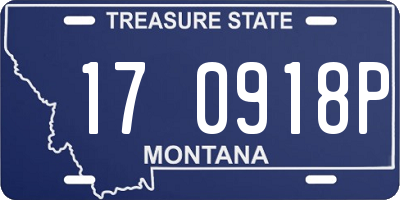 MT license plate 170918P