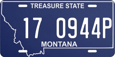 MT license plate 170944P