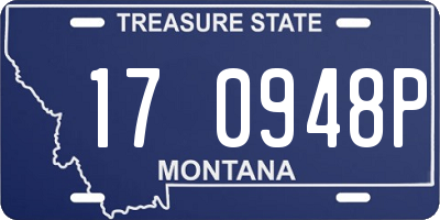 MT license plate 170948P