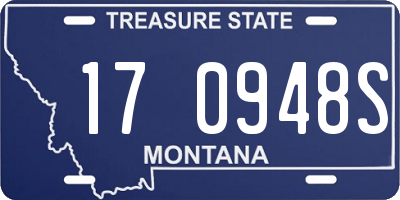 MT license plate 170948S