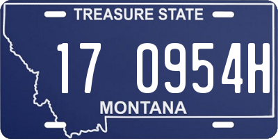 MT license plate 170954H