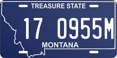 MT license plate 170955M