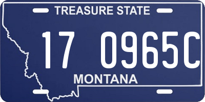 MT license plate 170965C