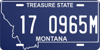 MT license plate 170965M