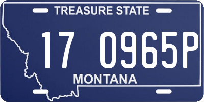 MT license plate 170965P