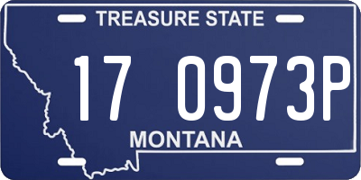 MT license plate 170973P