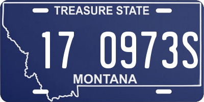 MT license plate 170973S