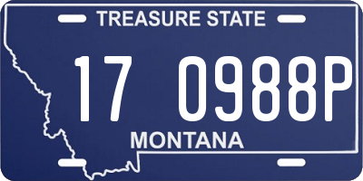 MT license plate 170988P