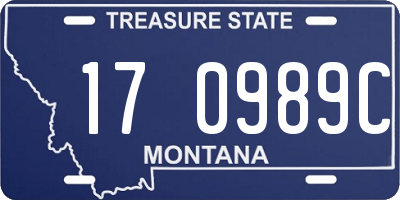 MT license plate 170989C