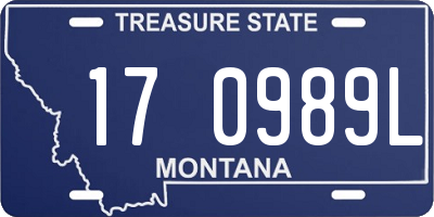 MT license plate 170989L