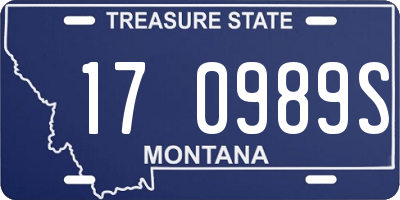 MT license plate 170989S