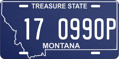 MT license plate 170990P