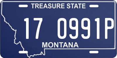 MT license plate 170991P