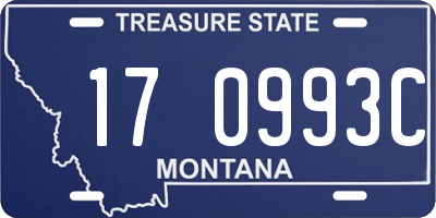 MT license plate 170993C