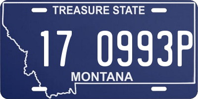 MT license plate 170993P