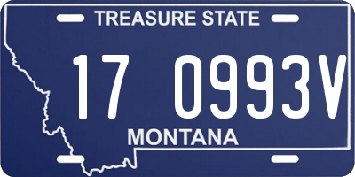 MT license plate 170993V