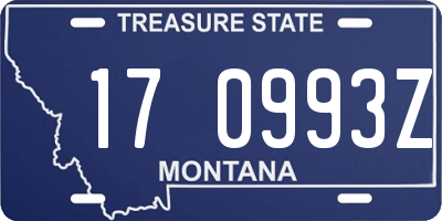 MT license plate 170993Z