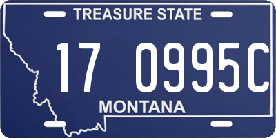 MT license plate 170995C
