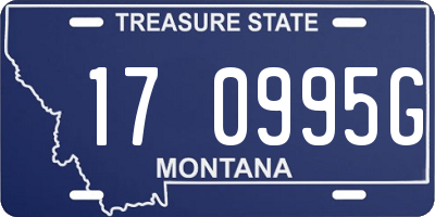 MT license plate 170995G