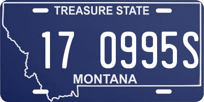 MT license plate 170995S