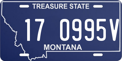 MT license plate 170995V