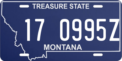 MT license plate 170995Z