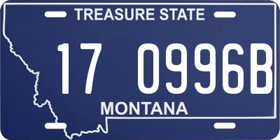 MT license plate 170996B