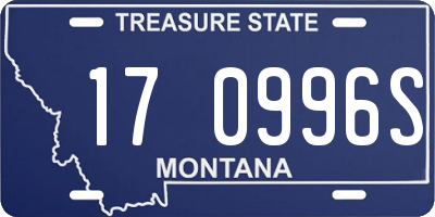 MT license plate 170996S