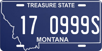 MT license plate 170999S