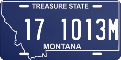 MT license plate 171013M