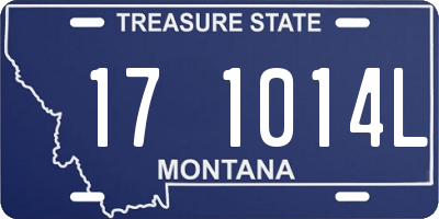 MT license plate 171014L