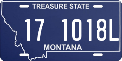 MT license plate 171018L