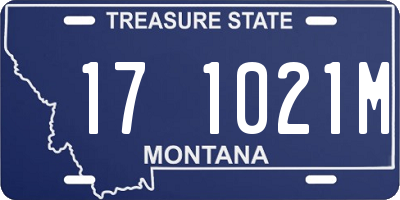 MT license plate 171021M