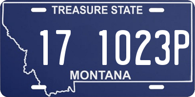 MT license plate 171023P