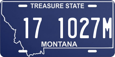 MT license plate 171027M