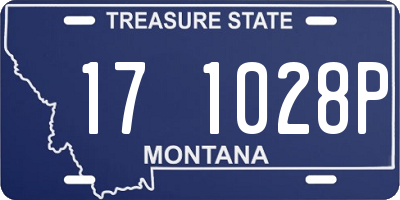 MT license plate 171028P