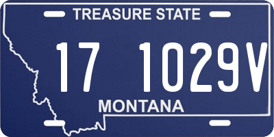 MT license plate 171029V