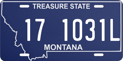 MT license plate 171031L