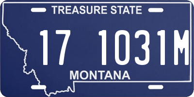 MT license plate 171031M